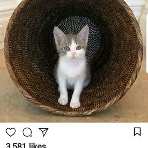 Meet your Posher, Danica